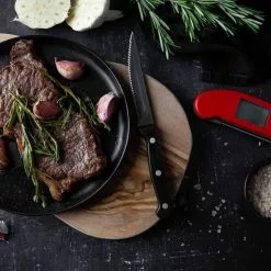 ETI Thermapen One Thermometer, Grijs -Potten & pannen Winkel eti thermapen one thermometer 54