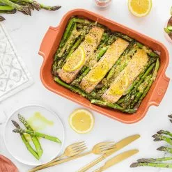 Peugeot Appolia Ovenschaal Terracotta, 20x32 Cm -Potten & pannen Winkel peugeot appolia ovenschaal terracotta 18